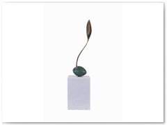 Avocado Pip (sold)